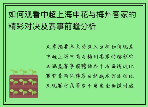 如何观看中超上海申花与梅州客家的精彩对决及赛事前瞻分析