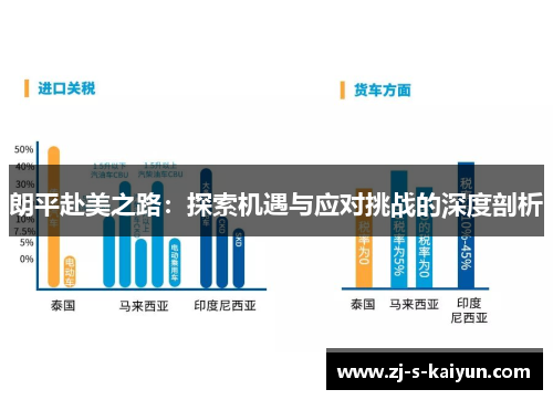 朗平赴美之路：探索机遇与应对挑战的深度剖析