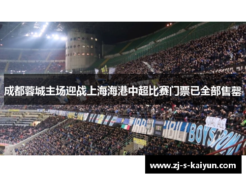 成都蓉城主场迎战上海海港中超比赛门票已全部售罄 成都蓉城主场迎战上海海港中超比赛门票已全部售罄